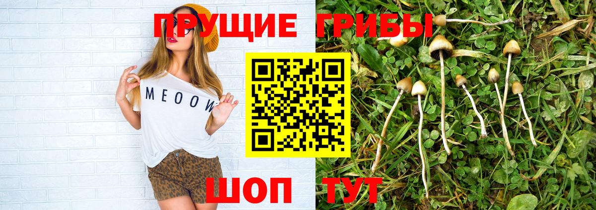 Дагестанские Огни  купить   Вход с VPN  Галлюциногенные грибы MAGIC MUSHROOMS 